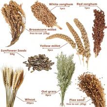 NICERINC PET Natural Ear Of Grain FlowerandHerb Bedding Mate Habitat Decor Adding Fun Hamster Accessories For Hamsters Gerbils Lemming