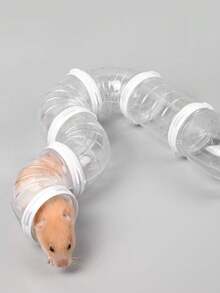 1件仓鼠隧道玩具宠物运动训练管透明仓鼠玩具宠物玩耍小动物配件创意DIY彩色箍管直径5.5厘米 - 彩色 - 查看 3