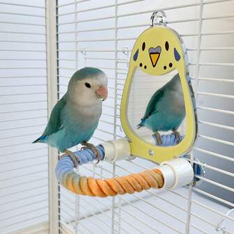 1 件鹦鹉亚克力镜面鸟笼栖木，互动抗抑郁鸟玩具，鸟笼装饰，虎皮牡丹，小玄凤鹦鹉