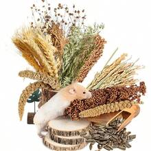 NICERINC PET Natural Ear Of Grain FlowerandHerb Bedding Mate Habitat Decor Adding Fun Hamster Accessories For Hamsters Gerbils Lemming