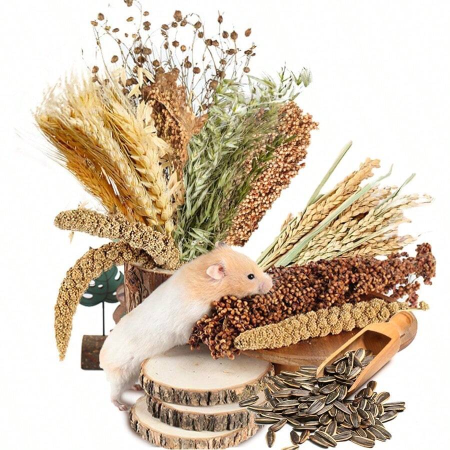 NICERINC PET Natural Ear Of Grain FlowerandHerb Bedding Mate Habitat Decor Adding Fun Hamster Accessories For Hamsters Gerbils Lemming