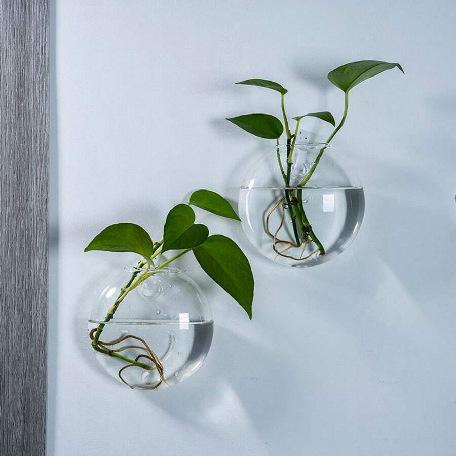 2/4/6 件装壁挂式玻璃花盆 - 自浇水水培花盆，适用于家庭办公室装饰，手工圆形水晶花瓶 - 無色 - 查看 1