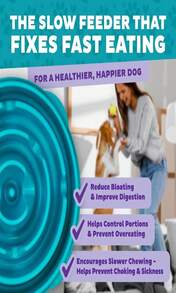 Outward Hound Fun Feeder Slo Bowl, Large Slow Feeder Dog Bowl, 4 Cups, Purple - Màu sắc - Xem 5