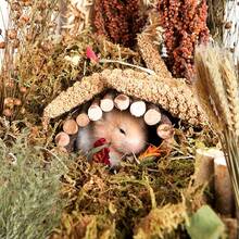 NICERINC PET Natural Ear Of Grain FlowerandHerb Bedding Mate Habitat Decor Adding Fun Hamster Accessories For Hamsters Gerbils Lemming