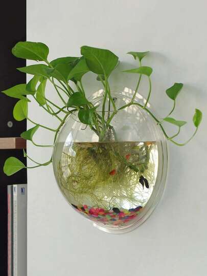 1pc Transparent Wall-Mounted Planter, Simple Plastic Container, Suitable For Hanging Plants At Home