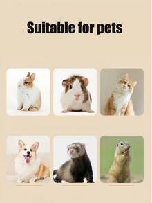 50pcs Disposable Plastic Bottom Film Covers For Pet/Toilet Pads, Bird/Rabbit Cages, Cat Litter Bags, And Dog Toilet Pee Pads, Cleaning Mats