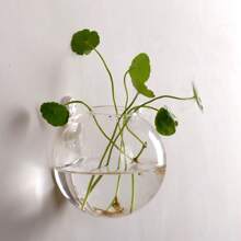 2/4/6 件装壁挂式玻璃花盆 - 自浇水水培花盆，适用于家庭办公室装饰，手工圆形水晶花瓶 - 無色 - 查看 6