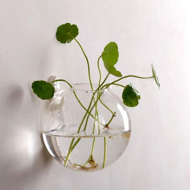 2/4/6 件装壁挂式玻璃花盆 - 自浇水水培花盆，适用于家庭办公室装饰，手工圆形水晶花瓶 - 無色 - 查看 6