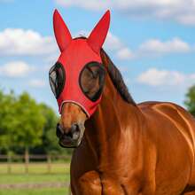 New Fly Mask With Reflective Stripes, Horse Supplies - Red - View 4