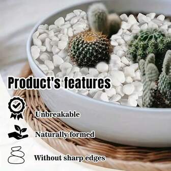 0.5-4cm, 500-1500g Natural White Pebbles, For Vase Filler, Succulent & Cactus Potting, Indoor/Outdoor Garden Decor, Aquarium Gravel, Glass Container Decoration, Fairy Garden, Top Dressing, Garden Pebbles