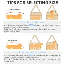 柔软舒适的宠物包和商务背包，支撑性强，是携带小型犬和猫出差、旅行和郊游的理想选择