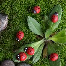 3/10/20/30/50 قطعة من الخنافس الخشبية الحمراء الواقعية، نموذج مصغر للحشرات، مغناطيسات، خنافس صغيرة مضحكة للنباتات المزروعة في أصص، ديكور للحرف اليدوية والتجميل والمناظر الطبيعية المصغرة وحفلات الحدائق والمنازل، تطعيمات خنافس خشبية مسطحة الظهر - الأحمر - مشاهدة 5