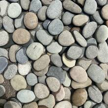 20pcs Natural River Rocks For Painting - Smooth Flat Stones, Art & Crafts Decor, Major Material: Natural Stone