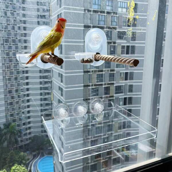 1 pieza Bandeja de ventosa de acrílico para loro, Percha de ventosa para loro adherida al vidrio para recoger alimentos caídos, con tazón de alimentación, Soporte retorcido de madera para ayudar a los loros a tomar el sol y jugar