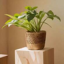 Unique Nordic Style Handmade Rattan Flower Pot With Plastic Liner | Home Decor Nordic Style Plant Lover Rattan Craft Home Aesthetics Vase Room Decor Flower Vase Glass Vase