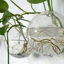 2/4/6 件装壁挂式玻璃花盆 - 自浇水水培花盆，适用于家庭办公室装饰，手工圆形水晶花瓶 - 無色 - 查看 9