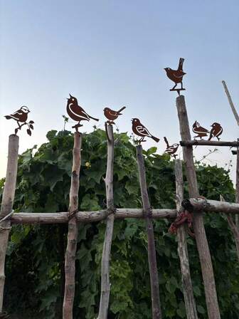 8 件生锈金属鸟形装饰，复古风格花园装饰木桩，乡村艺术鸟形雕塑，乡村户外林地和栅栏装饰品，庭院和花园草坪桩