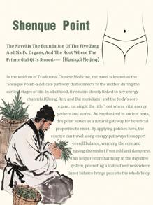 100片装草药保健贴片，缓解压力、促进深度睡眠、提升能量的传统中药贴片，身体清洁贴片，日常使用排毒腹部贴片