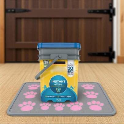Instant Action Clumping Cat Litter, Natural, Low Dust, Odor Control, 35 Lb. Pail