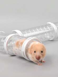 1件仓鼠隧道玩具宠物运动训练管透明仓鼠玩具宠物玩耍小动物配件创意DIY彩色箍管直径5.5厘米 - 彩色 - 查看 2