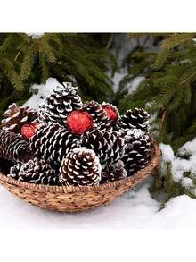 5pcs Natural Pine Cones Christmas Ornaments, Large Christmas Tree Pine Cones, 3 Sizes, Snowy Pine Cones For Christmas Tree, Gift Tags, Wreaths, Christmas Craft Hanging Decor