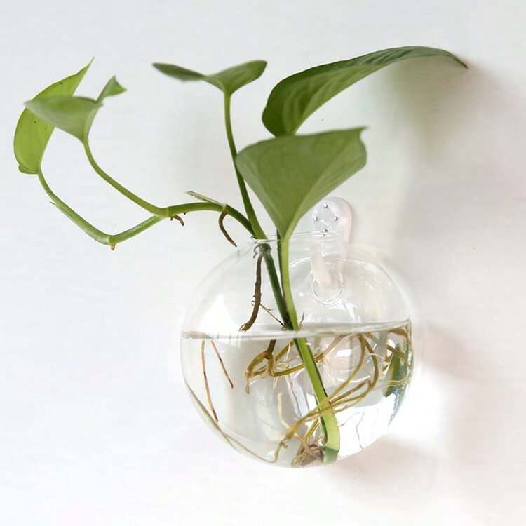 2/4/6 件装壁挂式玻璃花盆 - 自浇水水培花盆，适用于家庭办公室装饰，手工圆形水晶花瓶 - 無色 - 查看 10