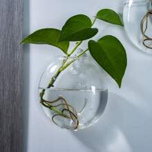 2/4/6 件装壁挂式玻璃花盆 - 自浇水水培花盆，适用于家庭办公室装饰，手工圆形水晶花瓶 - 無色 - 查看 2