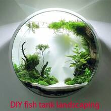 Acvariu de perete cu diametrul de 26 cm/Acvariu decorativ/Vază decorativă de perete suspendată/Sticlă hidroponică decorativă de perete suspendată/Acvariu pentru curte exterioară/Cameră de zi/Dormitor/Decor de birou, Poate fi agățat oriunde, De asemenea, se poate decora cu flori conservate și plante hidroponice, DIY, Amenajare peisagistică pentru acvariu, Vine cu plasă de pescuit