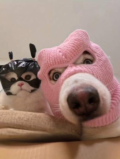 Dogs Cute Funny Hats, Drinking And Eating Hats, Halloween Role Play Costumes, Autumn And Winter Candy Colored Knitted Hats, Corgi Dog Headgear Hats, Cute And Funny Photo Props Decoration, Dog Halloween Costume - Funny Robber & Thief Mask With Noise Protection, Soft Knit Ear Muffs For Medium/Large Dogs, All-Season Pet Costume For Halloween