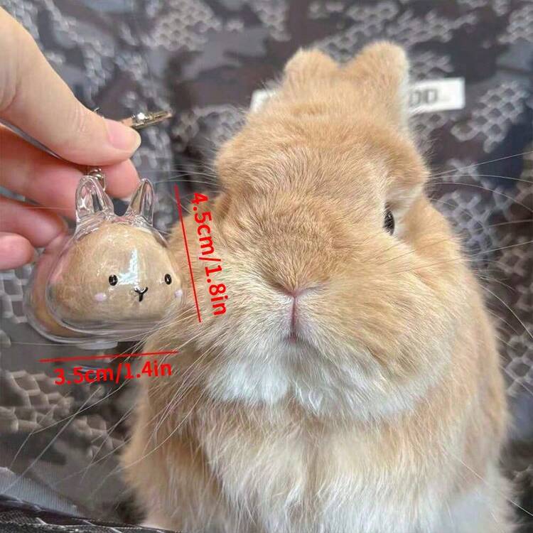 1 件装宠物毛发收集瓶带钥匙扣，兔毛储存胶囊，宠物毛发记忆盒 - 创意透明设计，保存猫和兔子的记忆，适合各种猫咪造型 - 白色 - 查看 8