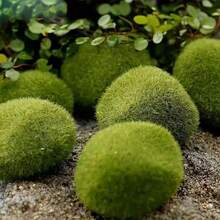 6pcs Artificial Moss Balls - Plastic Fake Plants For Fairy Garden, Aquarium, Glass Container, Outdoor Simulation Plant Decor - Multicolor - View 7