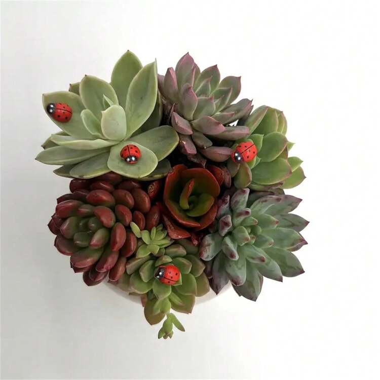 3/10/20/30/50pcs Red Wooden Ladybugs Realistic Ladybug Insect Miniature Sample Model Plants Magnets Tiny Ladybug Funny Potted Plant For Crafts DIY Self-Adhesive Mini Ladybugs Tiny Ladybug Decoration For Craft Scrapbooking Micro Landscape Party Home Garden Decor Flatback Wood Ladybugs Embellishments - Red - View 5