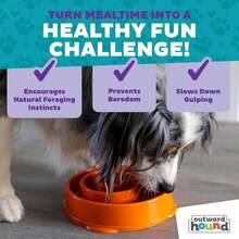 Outward Hound Fun Feeder Slo Bowl, Medium Slow Feeder Dog Bowl, 2 Cups, Turquoise - 顏色D - 查看 7