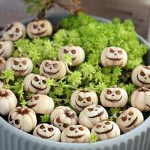 10 buc/20 buc decorațiuni dovleci care strălucesc în întuneric - felinare Jack-O'-Lanterns cu ochi verzi accentuați, fără sursă de alimentare, dovleci realiști mici, potriviți pentru Halloween, Ziua Recunoștinței, centre de masă pentru casă sau sufragerie - material rășină (12 buc), decor de Halloween, strălucește în întuneric, detalii lucrate manual, esențial pentru cumpărături de sărbători, decor pentru casă, decor pentru cameră