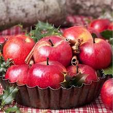 Artificial Apple Christmas Eve Simulation Fruit Home Kitchen Party Decoration 6PCS