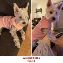 Maglione comodo per animali domestici - Magliette per cani per autunno, inverno e primavera - Cappotto per cani morbido, caldo e adorabile per razze piccole, medie e grandi - Perfetto per attività all'aperto e costumi