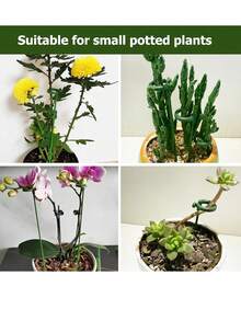 1件装植物支撑架，花盆架，不规则支撑杆，可弯曲苔藓杆，室内攀援植物支撑架 - 盆栽攀援植物架 - 高型室内植物架 - 配件 - 彩色 - 查看 5