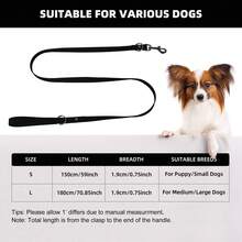 Strapazierfähige PVC Hundeleine, wasserdicht, geruchlos, rostfrei, leicht zu reinigen, angenehmes Griffgefühl, stabile Leine geeignet für kleine, mittlere und große Hunde, zum Spazierengehen und Training