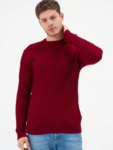 Men's Round Neck Jacquard Sweater Regular Fit - Burgundy - View 1