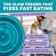 Outward Hound Fun Feeder Slo Bowl, Medium Slow Feeder Dog Bowl, 2 Cups, Turquoise - ColorH - View 5