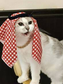 1pc Pet Headband Hat, Handmade Sun Protection & Wind Proof Headwear For Cats & Dogs - Multicolor - View 5