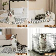 1 Stück Komfort Weiche Haustier Matte aus Flanell Hund Matratze Welpen Streu Matte - Geeignet für Katzen und Hunde, Terylenbefüllung, vielseitiges Design für Innenbereich, weich und warm, maschinenwaschbar