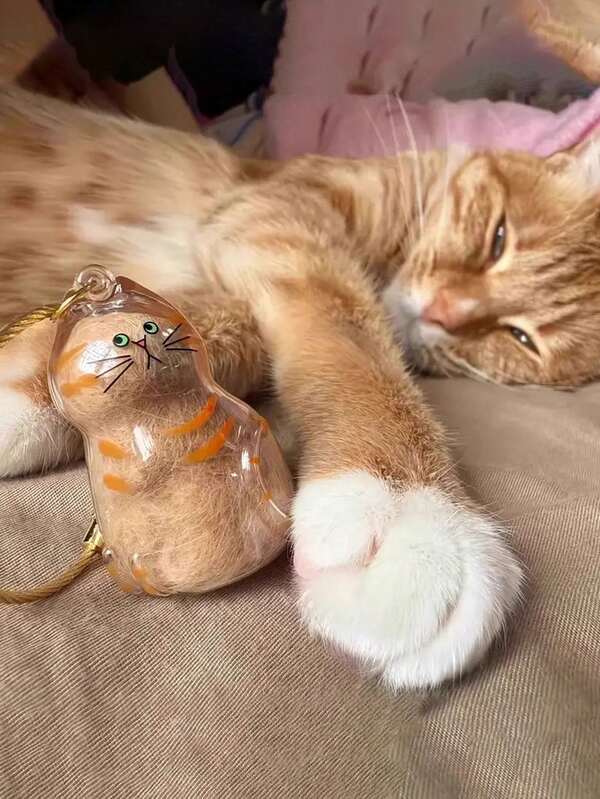 1 قطعة سلسلة مفاتيح بشكل قطة كرتونية جميلة، صندوق تخزين شفاف لشعر القطط قلادة مناسبة لعشاق القطط وأصحاب الحيوانات الأليفة، هدايا خالية من البطاريات، إكسسوارات للسيارة والمدرسة، قلادات عاطفية، سلاسل مفاتيح وحقائب، هدايا صغيرة للعائلة والأصدقاء، هدايا عيد الميلاد/العطلات