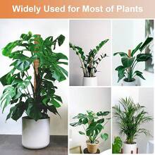 1 pezzo Pali flessibili in muschio per piante, piante di Monstera, supporto per piante rampicanti, piante da appartamento, per piante in vaso, rastrelliere di supporto