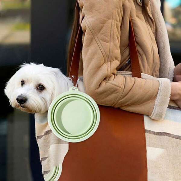 Tazón plegable para mascotas de color aleatorio, fácil de transportar, tazón de silicona para gatos/perros con mosquetón, capacidad total de 2, perfecto para senderismo y caminatas