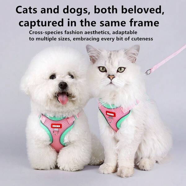 Cat & Dog Harness Leash, Small Dog Vest Style Chest Strap Leash, Pet Supplies