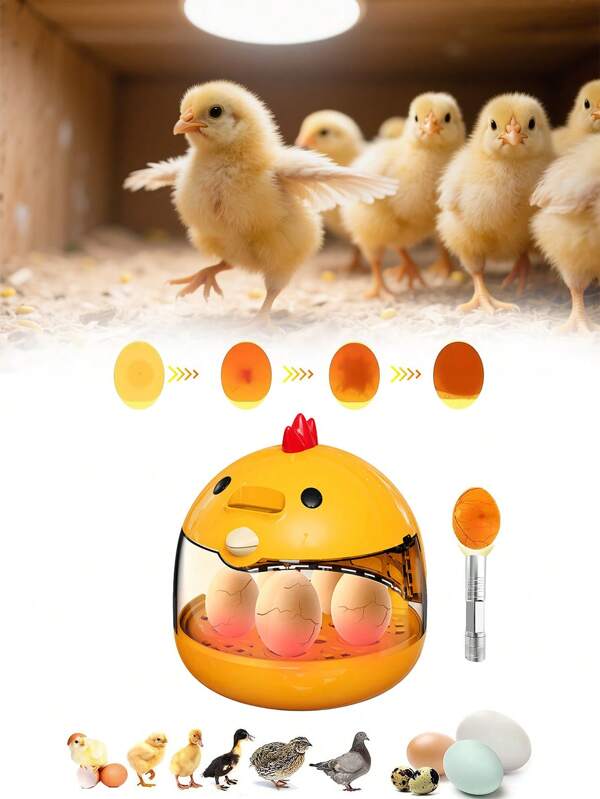 Mini Household Egg Incubator, Small , With Egg Candler,USB,Incubator With Temperature Display, Lightweight Transparent Window, Fits Eggs Of Chicken, Duck, Quail, Goose, Humidity Control, Automatic Temperature Control, Manual Egg Turning, Educational