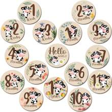 16pcs Set Double-Sided Printed Circular Baby Month Divider, Rainbow Pattern Baby Milestone, Props For Baby Photoshoots, Newborn Keepsake Wooden Sign Baby Shower Family Decorations Gifts Baby Shower Easter Gifts Things For Girls/Boys