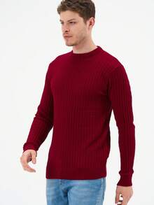 Men's Round Neck Jacquard Sweater Regular Fit - Burgundy - View 2