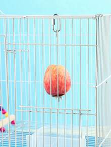 1pc Stainless Steel Bird & Chicken Feeding Fruit Fork, Multi-Length, For Indoor & Outdoor Use - Silver - View 6